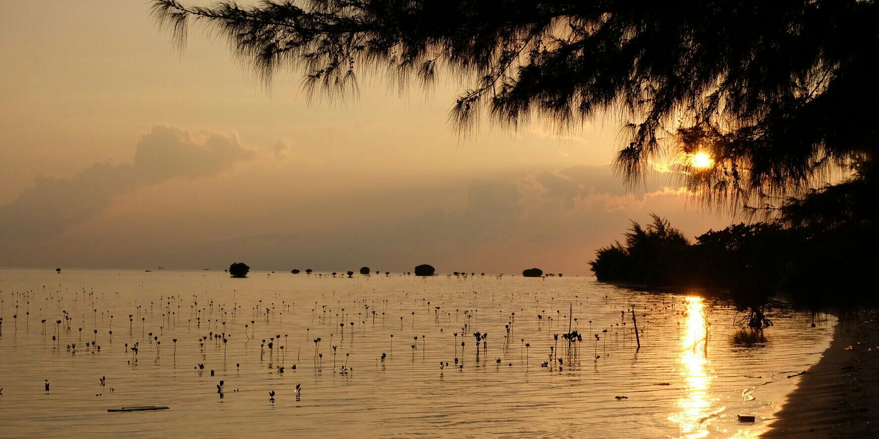 SaptoPrawira's profile banner image