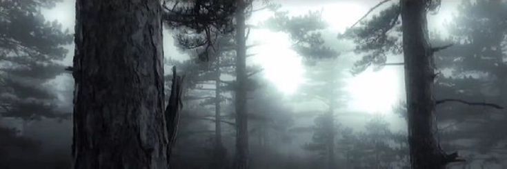 Aktualized's profile banner image