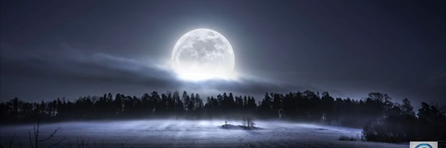TOAGVL's profile banner image