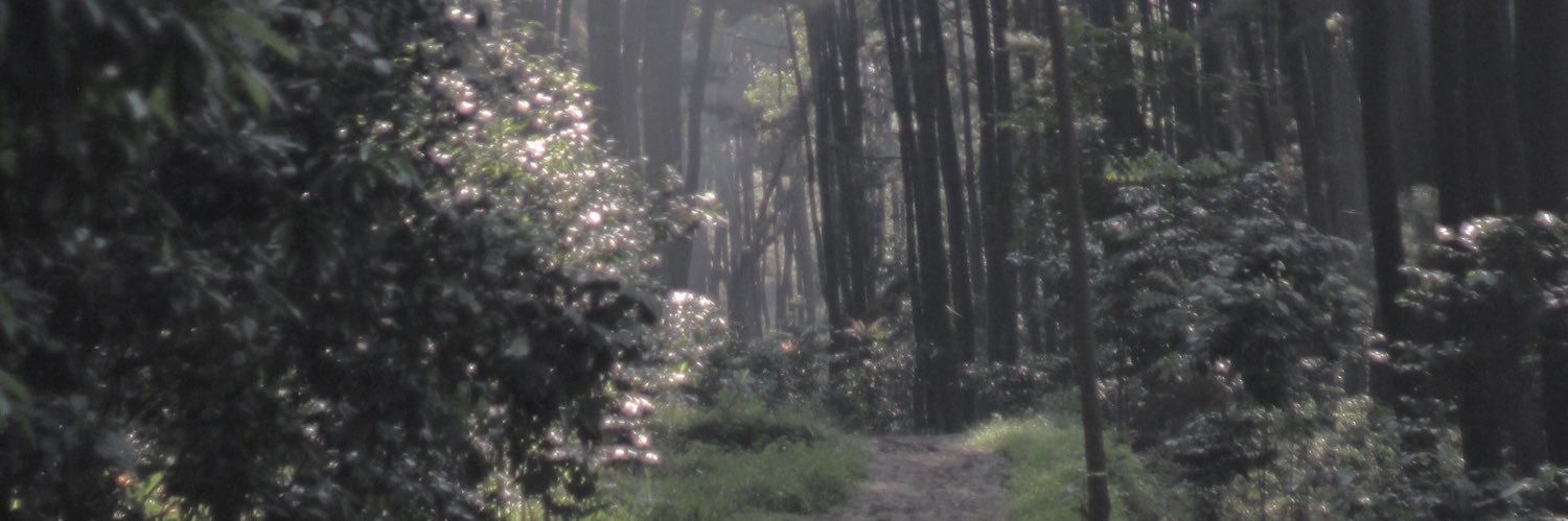 ardhyaun's profile banner image