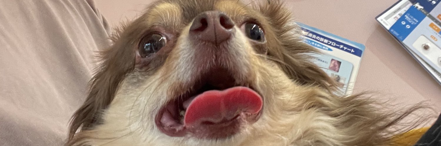 斉藤アキノリ / もう一度Zeppを本気で目指す40代SSW banner