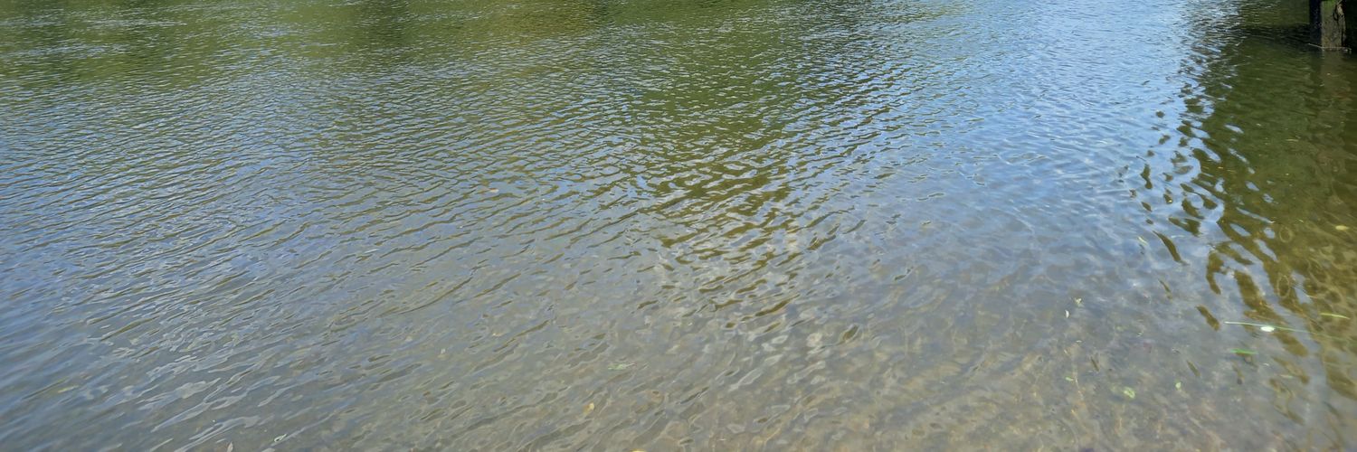 antontroy's profile banner image