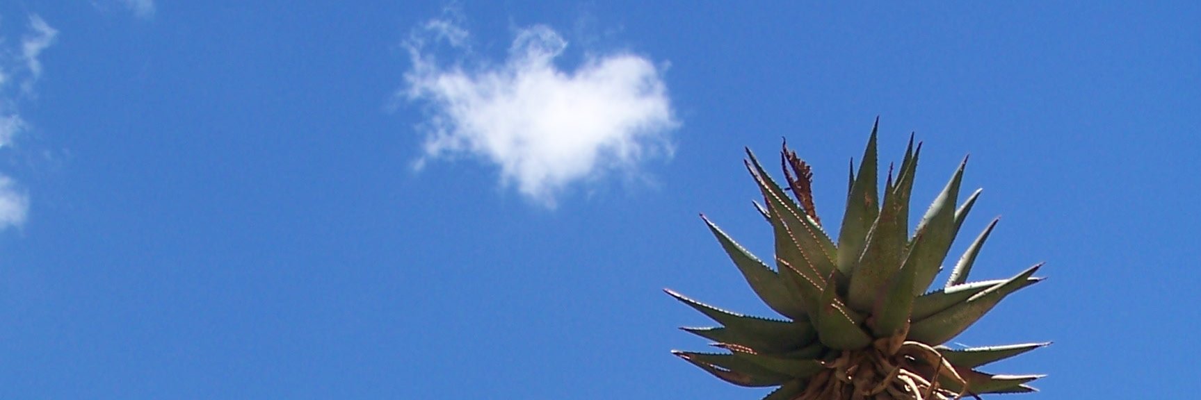 feestill's profile banner image