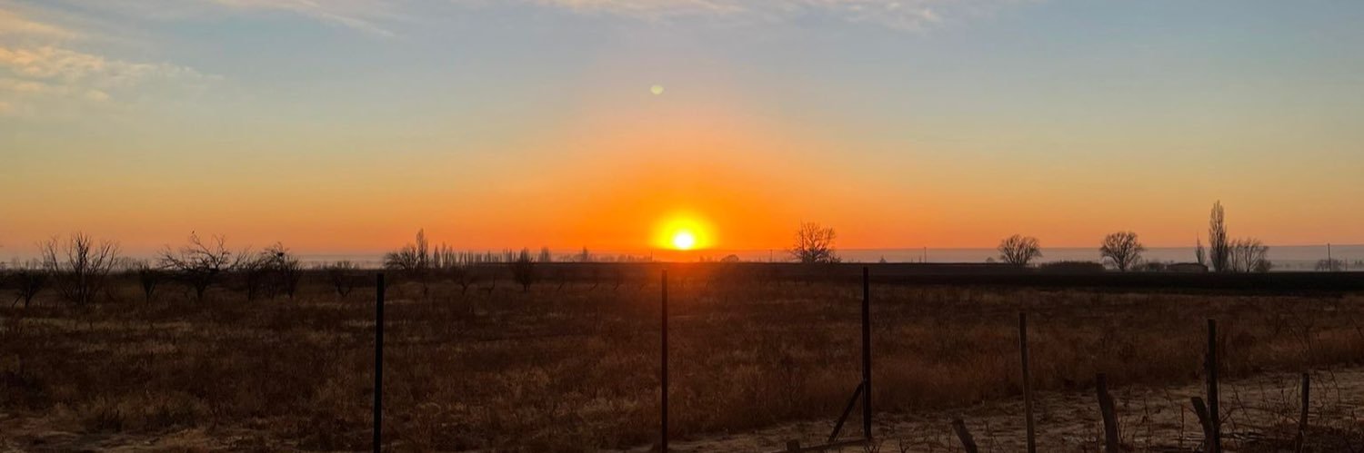KenyaTheDog's profile banner image