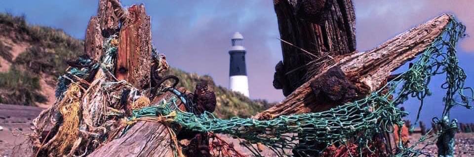 wilgils's profile banner image