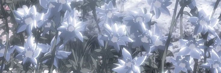 chloever banner