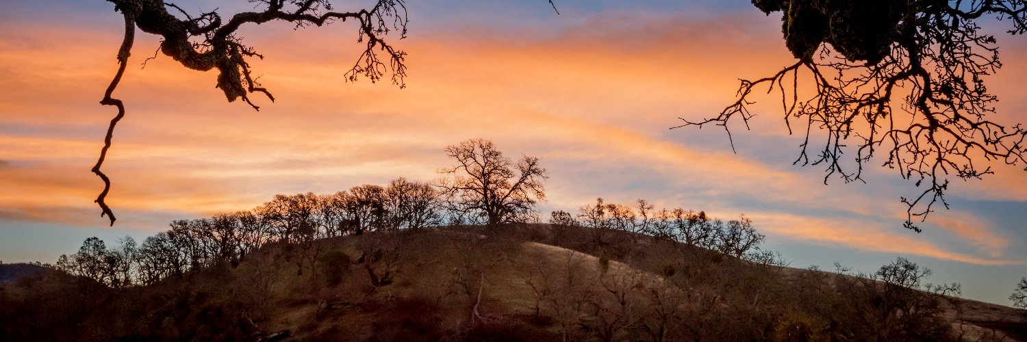 Luna 🇺🇸 banner