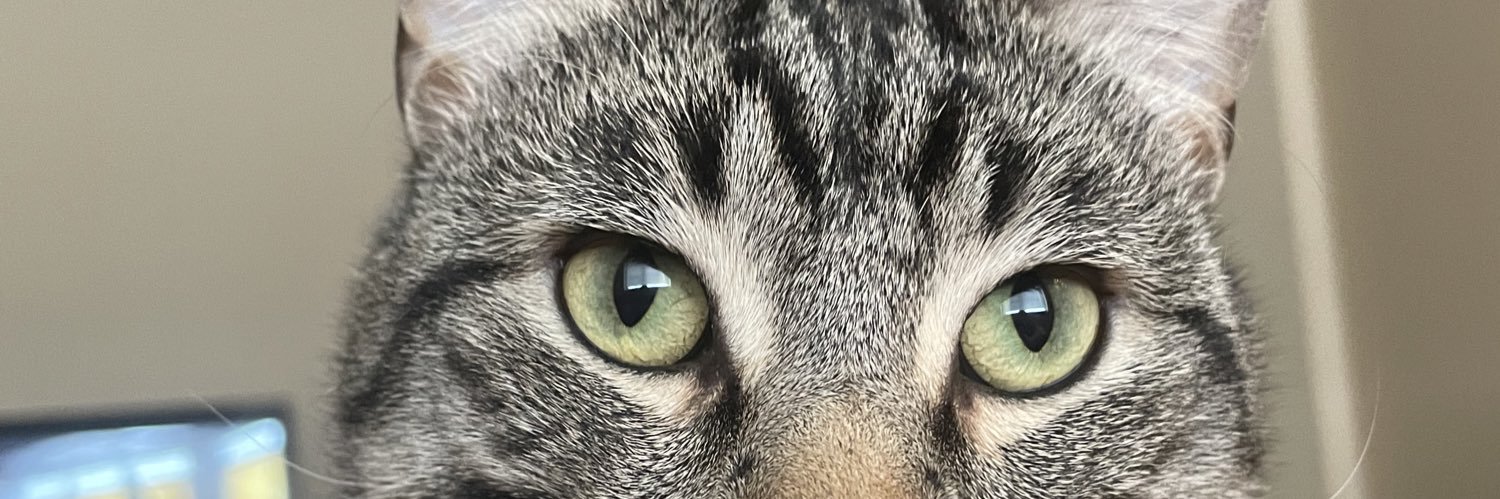 HoyAustin's profile banner image