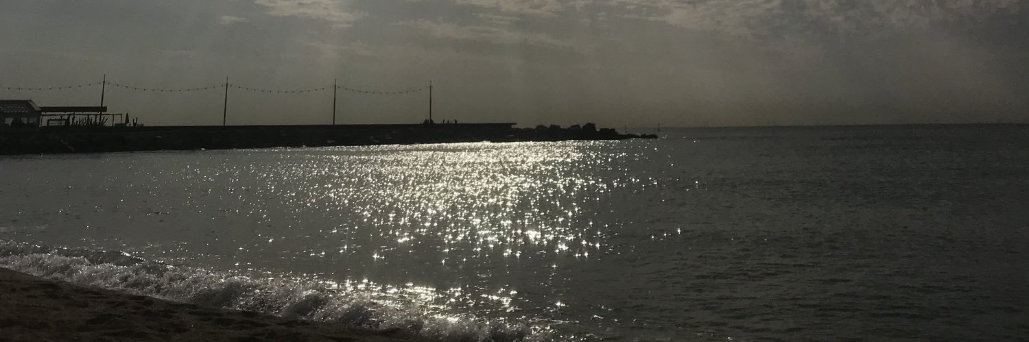 iovissss's profile banner image