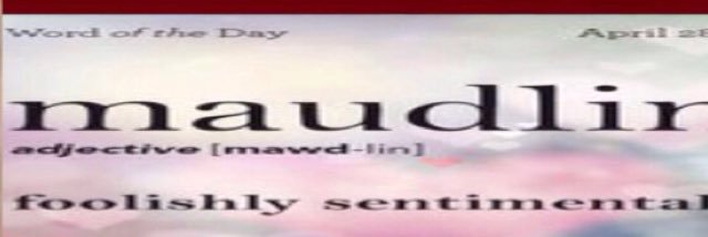 WordOfTheDay563's profile banner image