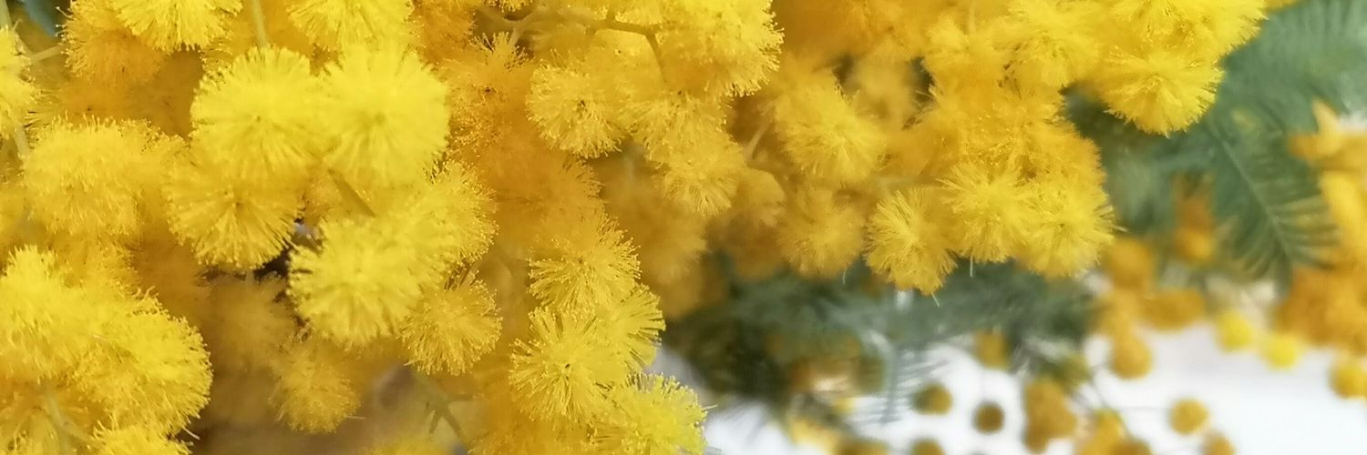 Fournil63's profile banner image