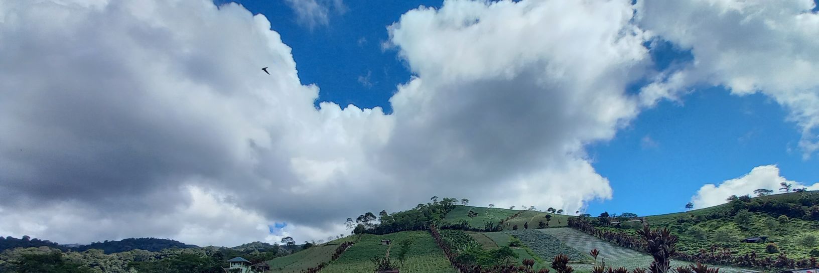 ardhyantoo's profile banner image