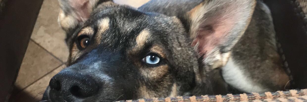 CEspineta's profile banner image