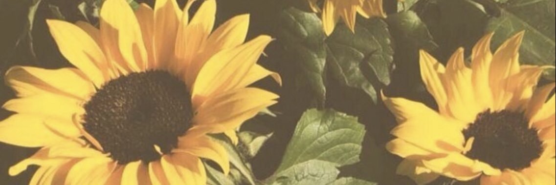 hallllee33's profile banner image