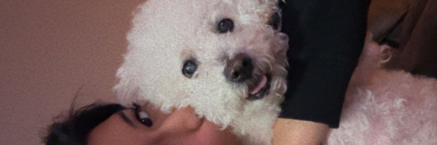 romanbee94's profile banner image