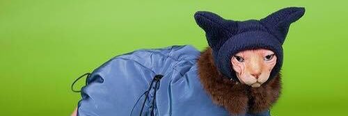 ReallyWednesday's profile banner image