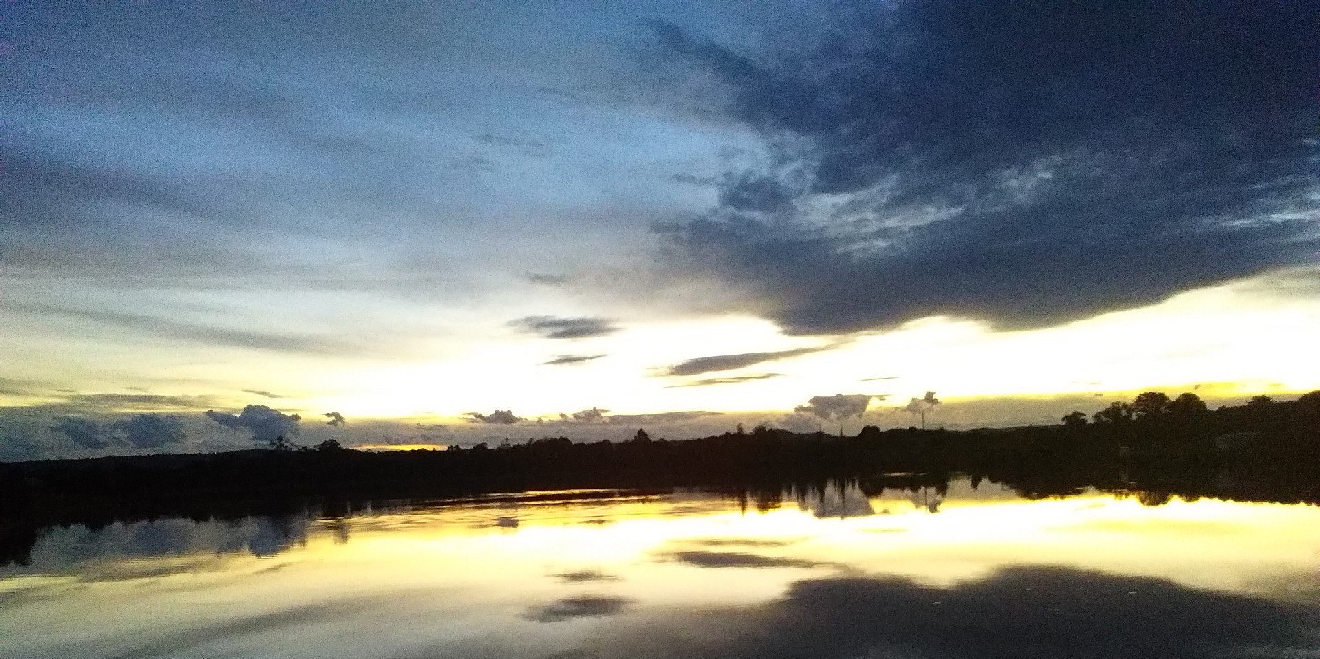 Lisa Stephenson banner