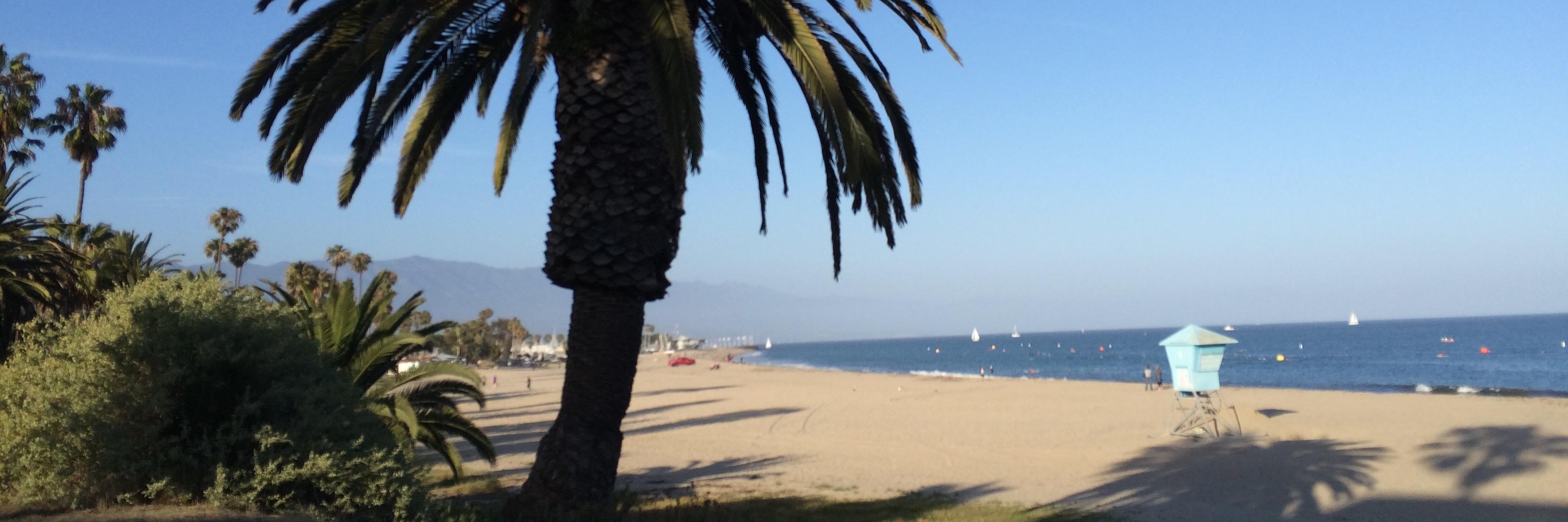 David Malvinni banner