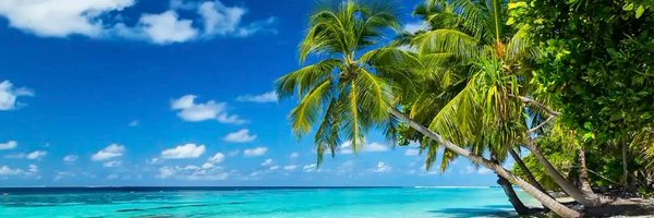 homocurios Profile Banner