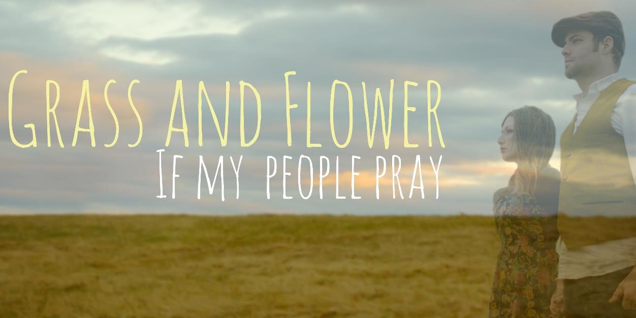 grassandflower's profile banner image