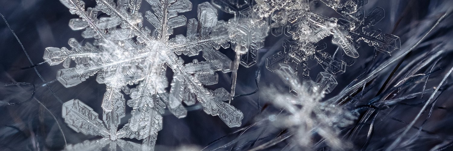 Silence and Snow banner