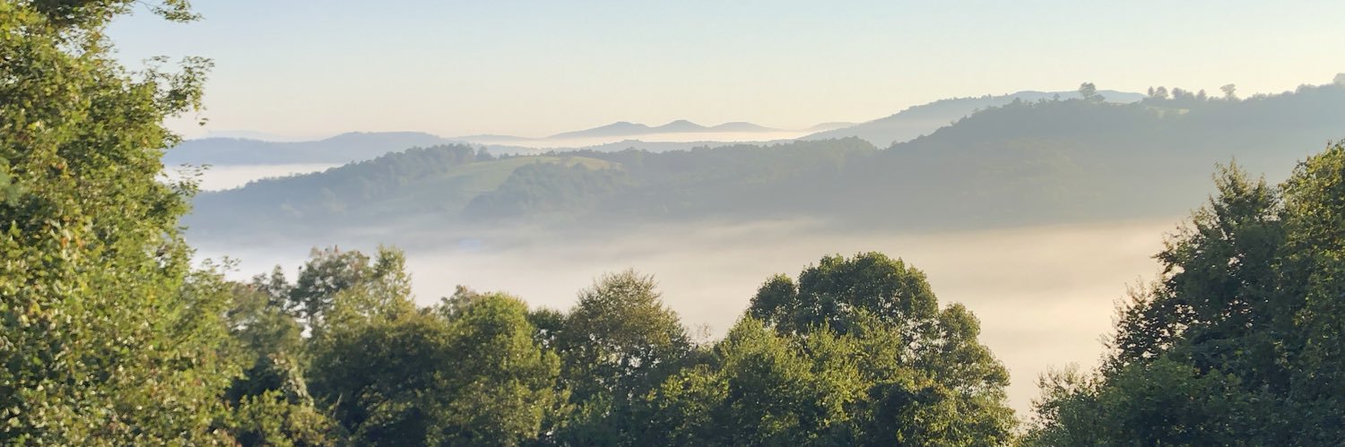 Mark McNeilly banner