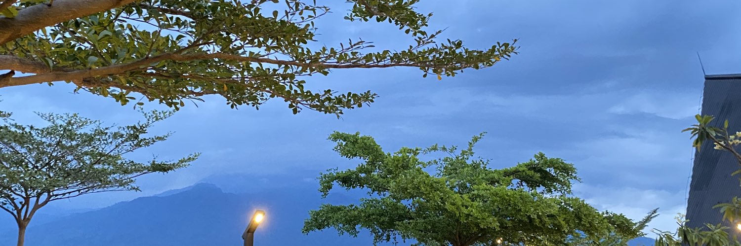 siintroverttea's profile banner image
