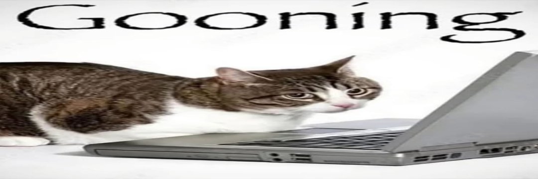 dewwdraws's profile banner image