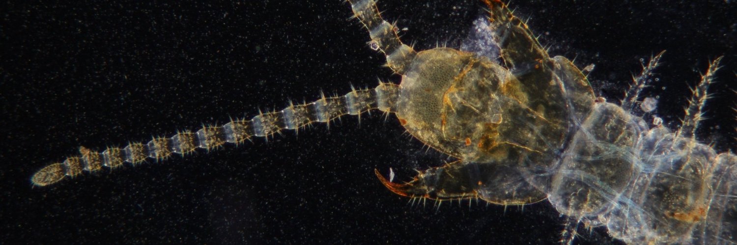 ASCUS Art & Science banner