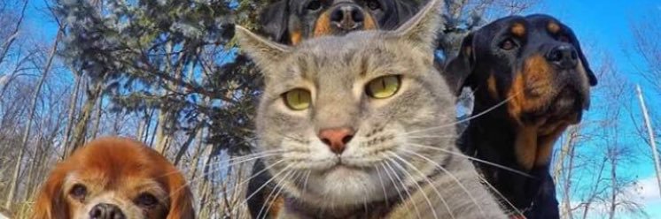 MMeesquita_'s profile banner image