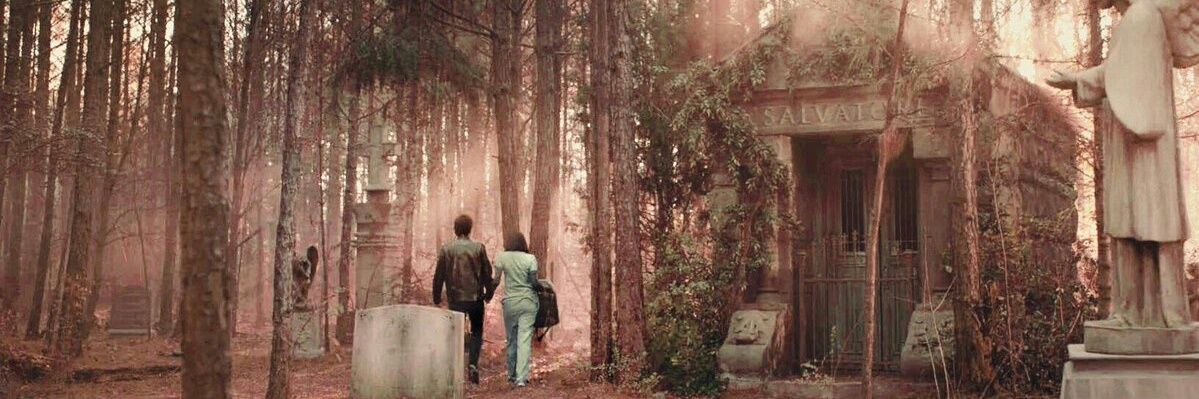 TVDPLLWorld's profile banner image