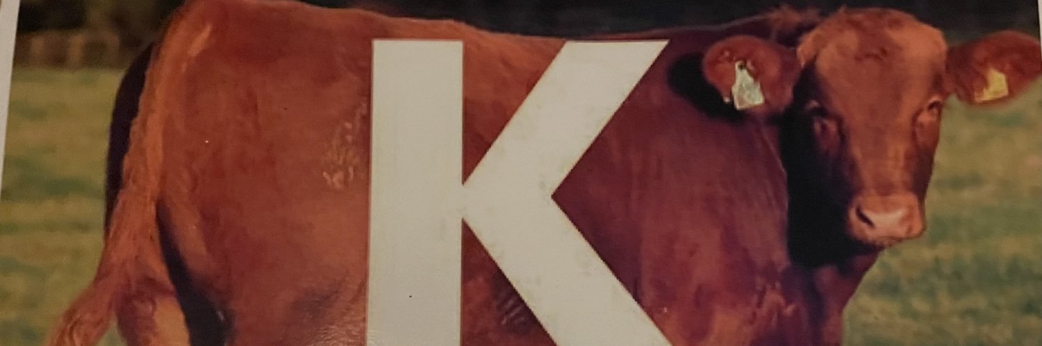 JBrown_L's profile banner image