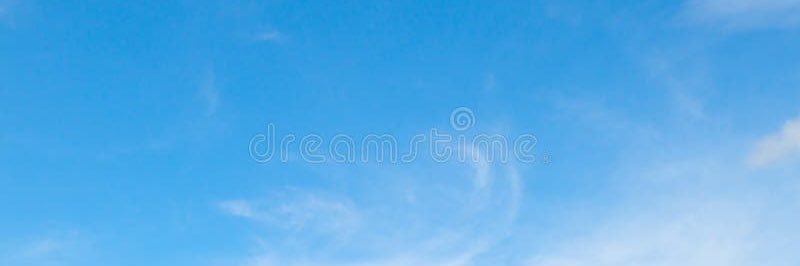 Flavia 💚 banner