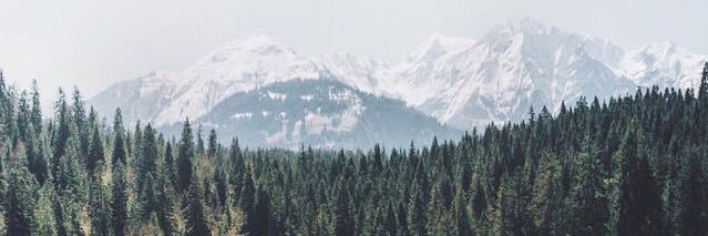 michelleblox's profile banner image