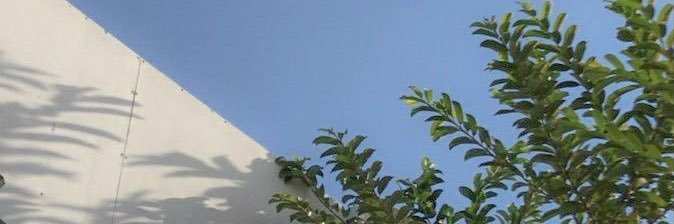 devi_triutami's profile banner image