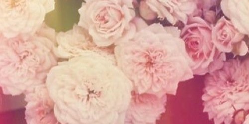 Savz_203's profile banner image