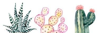 faride_jh's profile banner image