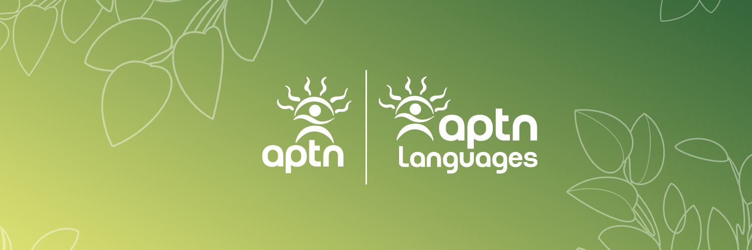 APTNtv's profile banner image