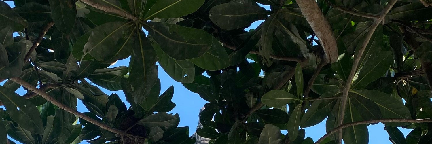 cvytz215's profile banner image