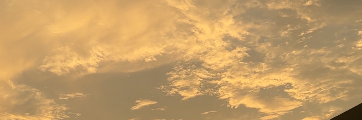 ashaxo11's profile banner image