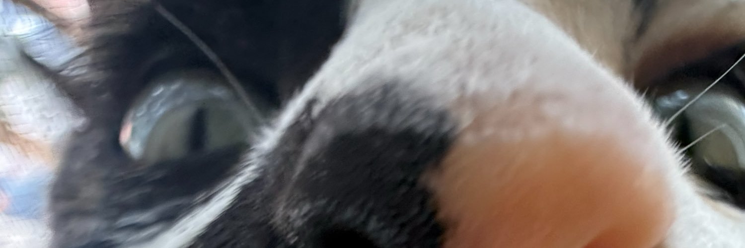 dayanarzate's profile banner image
