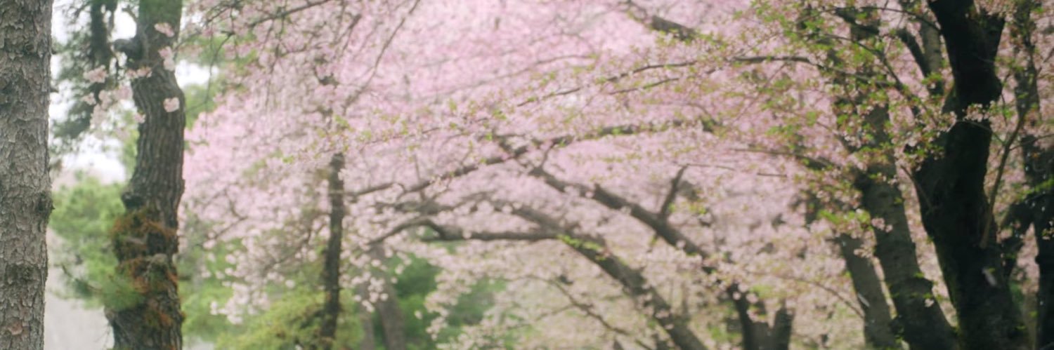 areuiq's profile banner image