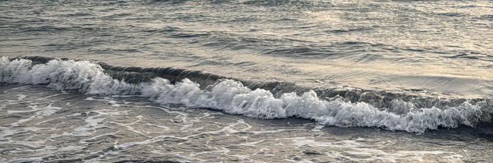 🌴 banner