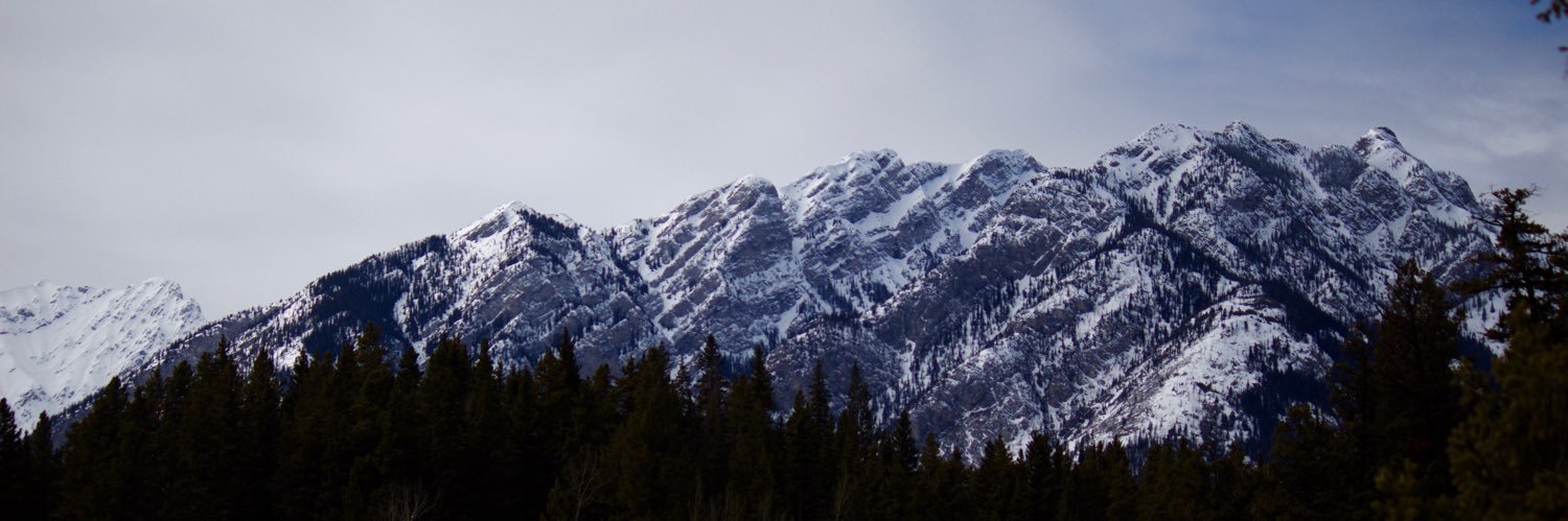 bradginnell's profile banner image