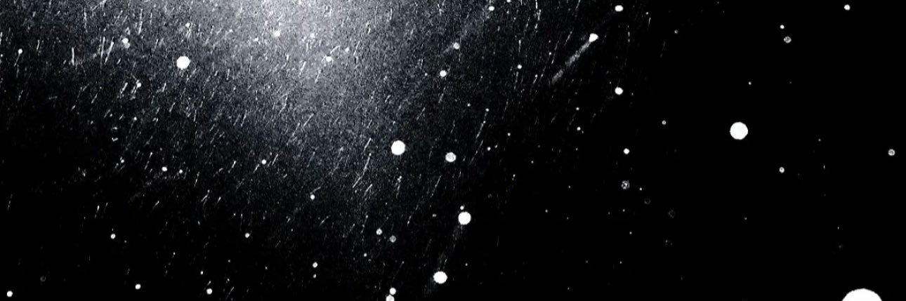 kittenqaq1's profile banner image