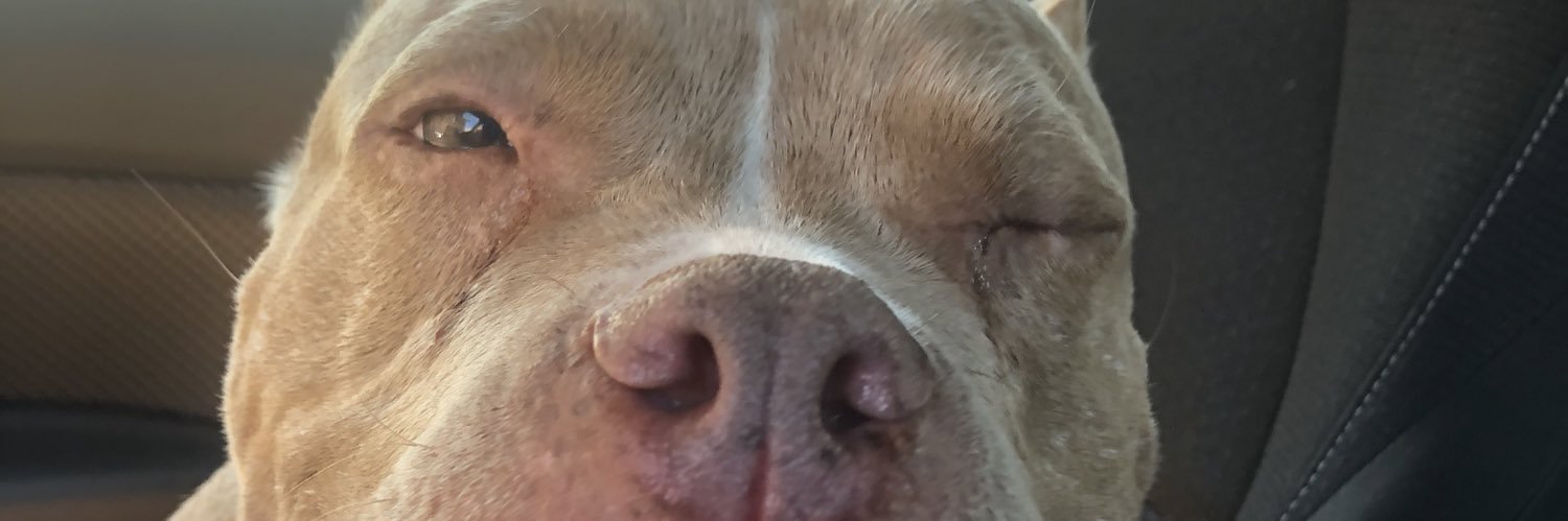 Cierabm11's profile banner image