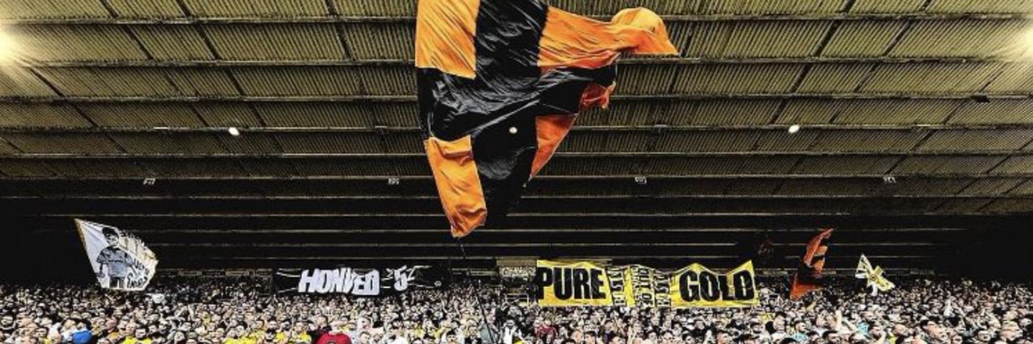 Daniel Beckingham banner