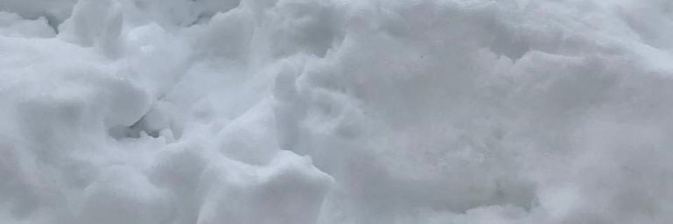 antitransniko's profile banner image