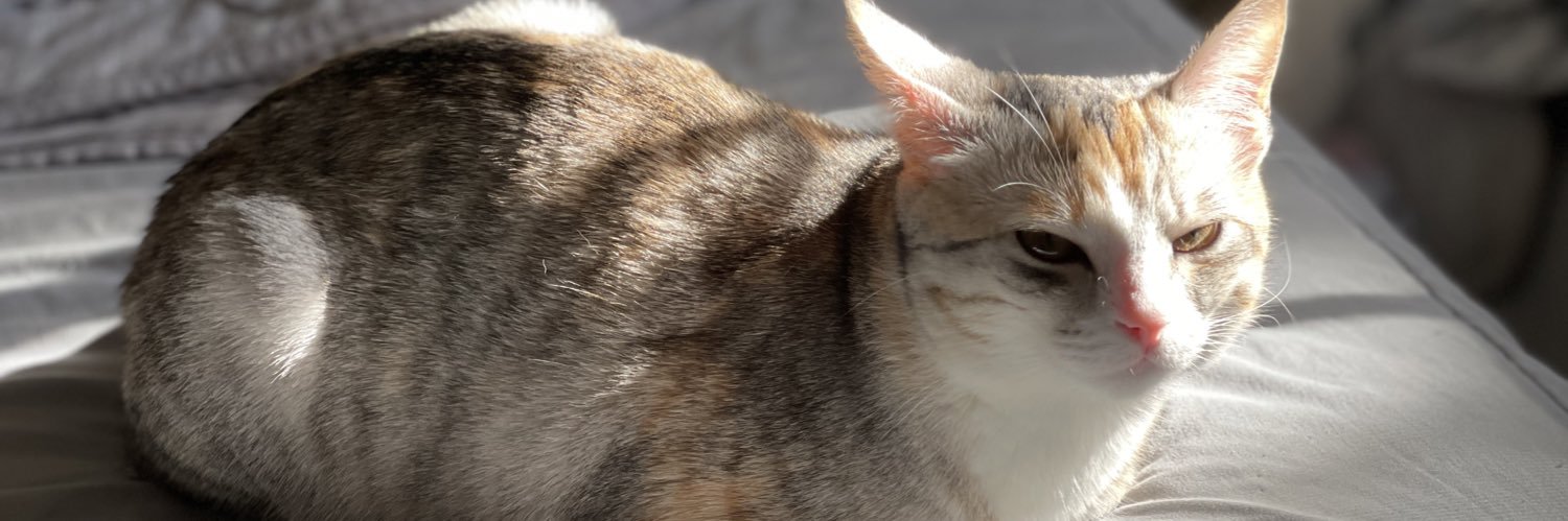 TheMighty_A_'s profile banner image