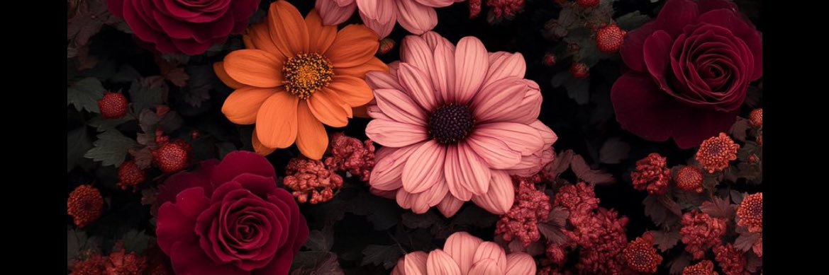 MissRoby1's profile banner image